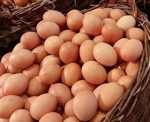 ORGANIC EGGS