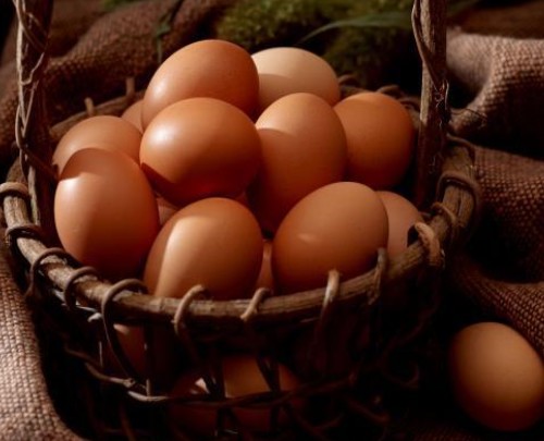 STANDARD BROWN EGGS