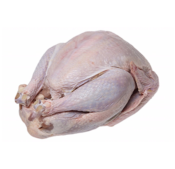 FROZEN TURKEY